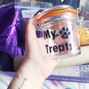 Cat treats glass container